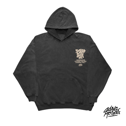 "Abundance is When the Bag Chasing You" Vintage Black Hoodie